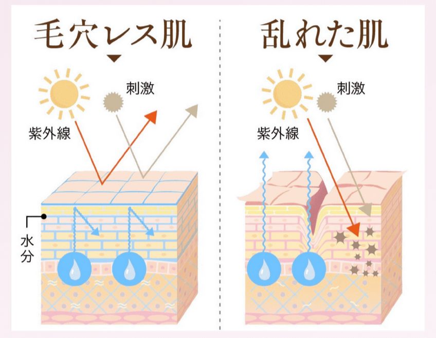 フルティア ザ・セラム クランベリーオイル ほうれい線